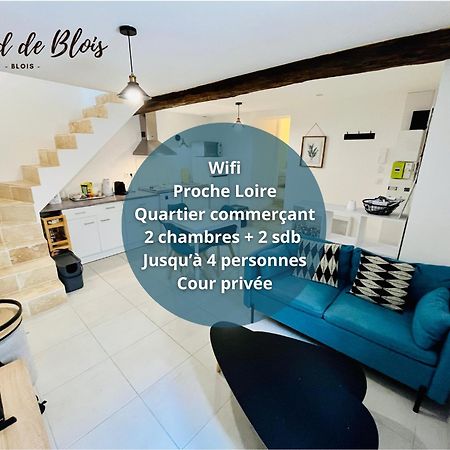 2 Suites, Cour Privee, Climatisation, Le Nid De Blois Vienne Экстерьер фото